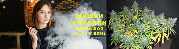 ALPHA PVP Белокуриха