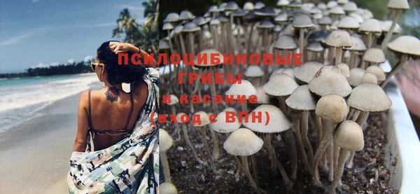 ALPHA PVP Белокуриха